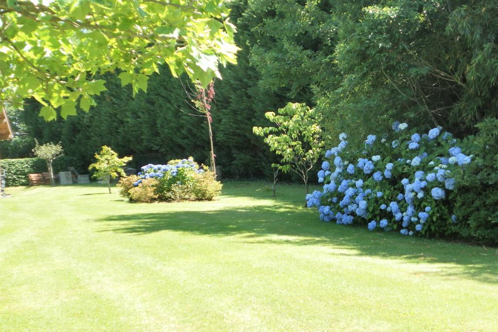 Les Volets Bleus Bed & Breakfast Arcangues Exterior photo